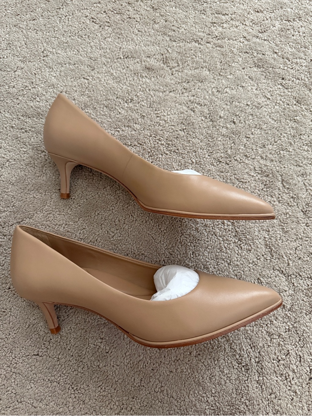 Antonio Melani Ellen Pointed-Toe Pumps in Sierra Tan
